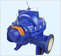 SOW single stage double entry pump